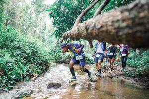 BIB: 
                            <button type="button" onclick="openModal(25375182)" class="btn btn-primary btn-sm float-right btn-popup" data-toggle="modal" data-target=".modal-high-quality">
                        <i class="fas fa-shopping-cart"></i> Add to Cart
                    </button>
                                            <button type="button" onclick="isThisMe(25375182, true)" class="btn btn-success btn-sm float-right btn-popup btn-isme hidden" data-toggle="tooltip" data-placement="bottom" title="นี่คือรูปของคุณใช่ไหม คลิกที่นี่เพื่อเอาเข้าอัลบั้ม">
                        <i class="fas fa-plus"></i> Add to album
                    </button>
                    <button type="button" onclick="isThisMe(25375182, false)" class="btn btn-warning btn-sm float-right btn-popup btn-isnotme hidden">
                        <i class="fas fa-ban"></i> Remove from album
                    </button>